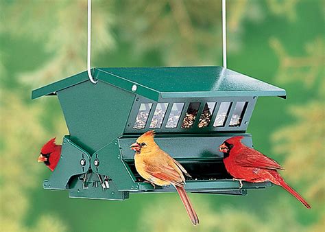 strong metal bird feeders